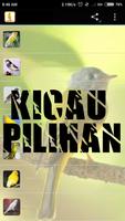 Kicau Master Cililin Affiche