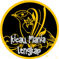 Masteran Kicau Kolibri