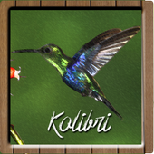 Kicau Master Kolibri icon
