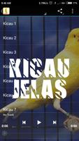 Kicau Master Pleci Ngalas 스크린샷 3