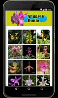 1 Schermata Orchids in the world