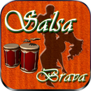 Brava Salsa Fm Radio Live  Free APK