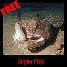 Angler Fish ไอคอน