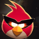 Angry Bird Wallpaper HD aplikacja
