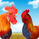 Rooster Race and Run Game APK