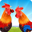 Angry Deadly Rooster Farms Run Rush