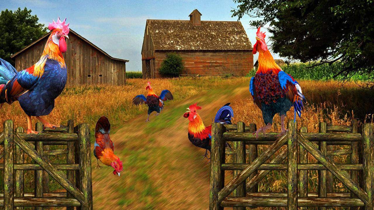 Angry Deadly Rooster Farms Run Rush For Android Apk Download - el simulador de pi#U00f1atas roblox pinata simulator