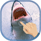 Magic Touch Shark Attack LWP أيقونة