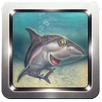 Angry Shark 3D 2016 APK