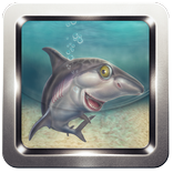 Angry Shark 3D 2016