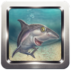 Angry Shark 3D 2016 icon
