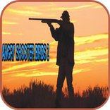 Angry Shooter Birds 2