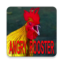 Best Of Angry Rooster Sound APK