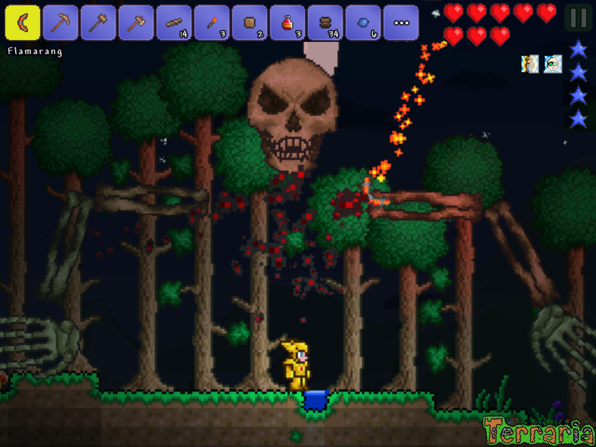 видео terraria ее фото 110