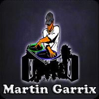 برنامه‌نما DJ Martin Garrix All Music عکس از صفحه