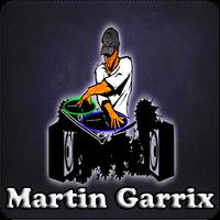 DJ Martin Garrix All Music capture d'écran 1