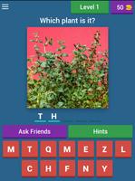 برنامه‌نما Quiz Pharmacy Plants عکس از صفحه