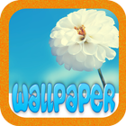 HD Flower Wallpaper-icoon