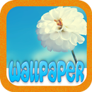 HD Flower Wallpaper APK