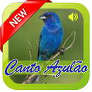 Canto Azulão para Encartar APK