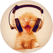 Kitty Music Live Wallpaper