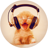 Kitty Music Live Wallpaper