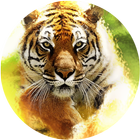 Tiger Waves Live Wallpaper 圖標