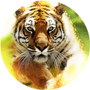 Tiger Waves Live Wallpaper aplikacja