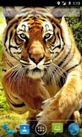 Tiger Waves Live Wallpaper 海報