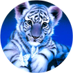 Little Blue Tiger Wallpaper