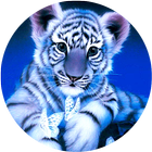 Little Blue Tiger Wallpaper icône