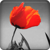 Magic Canvas APK