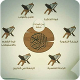 quran karim hifd 아이콘