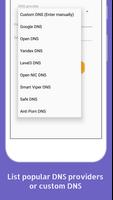 Ändern Sie DNS Pro (4G, LTE, W Plakat