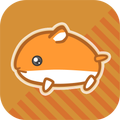 HAMJUMP