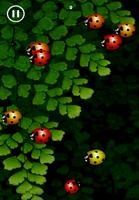 Crawl of the Ladybug capture d'écran 3