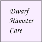 Dwarf Hamster Care ícone