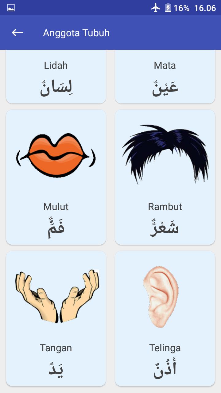 Gambar Anggota Tubuh Dalam Bahasa Arab – Kita