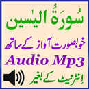 Surah Yaseen Beautiful Audio APK