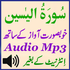 Surah Yaseen Beautiful Audio ไอคอน