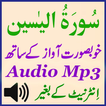 Surah Yaseen Beautiful Audio