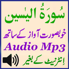 Surah Yaseen Beautiful Audio icône