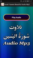 Surah Yaseen Beautiful Audio Ekran Görüntüsü 1