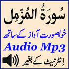 Sura Muzammil Beautiful Audio icône