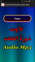 Surat Mulk Beautiful Audio App captura de pantalla 2