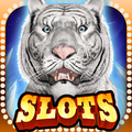 Tiger Casino Slot Machines