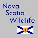 Nova Scotia Wildlife APK