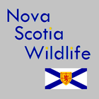 Nova Scotia Wildlife biểu tượng