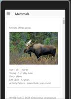 Nova Scotia Wildlife ảnh chụp màn hình 1