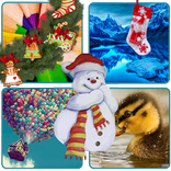 4 фото 1 слово